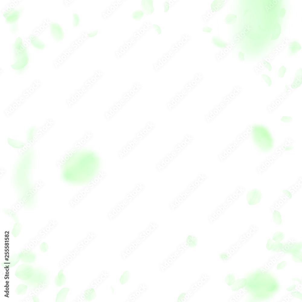 Green flower petals falling down. Great romantic f