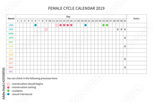 Vector calendar of the female's cycle. Monthly menstrual cycle. Women health and physiology. Vector women calendar template 2019
