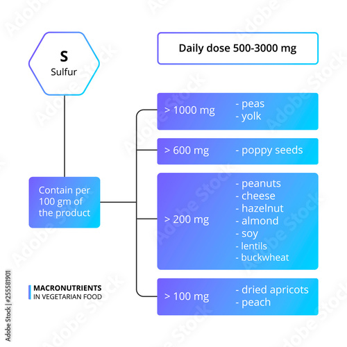 Vector scheme of the nutrients, vitamins and minerals. Number of macronutrients in vegetarian food. Amount sulfur of in food. Conditional scheme of minerals