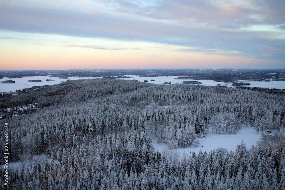 Amazing panoramic landscape of winter pine forest from top of Puijo Tower, Kuopio, Finland Amazing panoramic landscape of winter pine forest from top of Puijo Tower, Kuopio, Finland