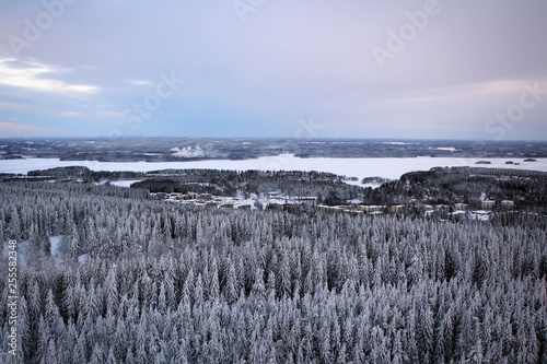 Amazing panoramic landscape of winter pine forest from top of Puijo Tower, Kuopio, Finland