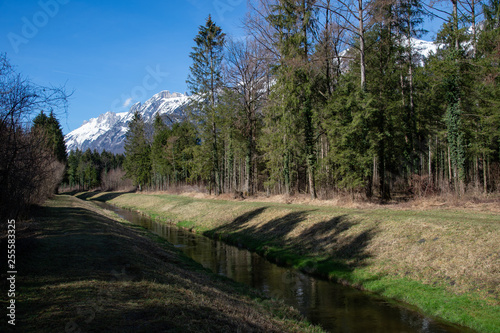 Vorfrühling im Oberen Rheintal