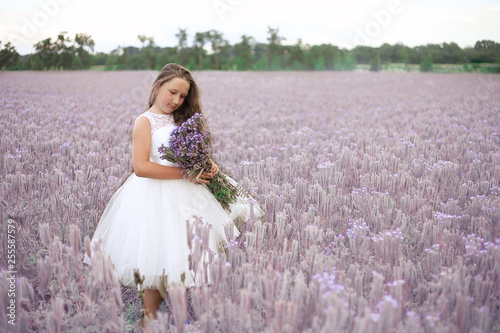 Beautiful little girl walks in the flowering field. Bouquet of violet flowers in the hands. Copy space.