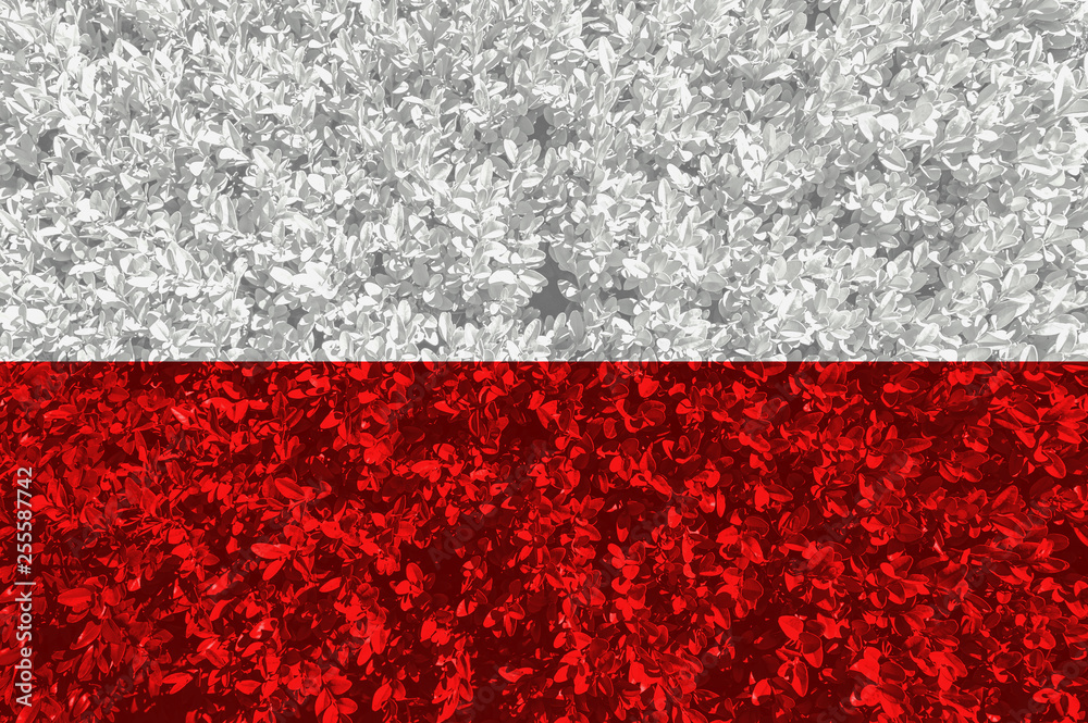 Polish Flag With Texture Of Leaves And Bushes Background Wallpaper For polish-flag-with-texture-of-leaves-and-bushes-background-wallpaper-for