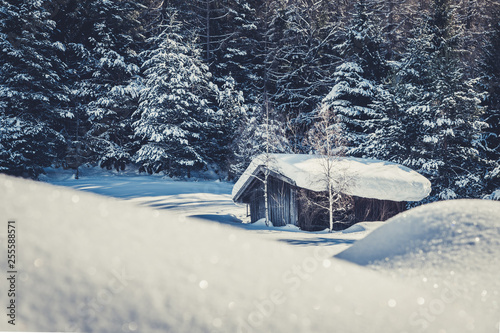 schneebedeckte almhütte bei sonnenschein mit wald im hintergrund, Seefeld, Tirol, Österreich, Alpen