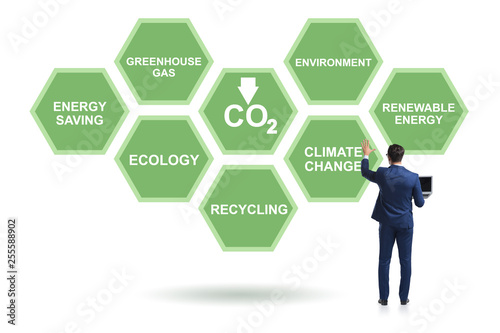 Businessman in ecology and environment concept