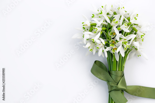 Close-up of a snowdrops bouguet on bright background bounded with green ribbon