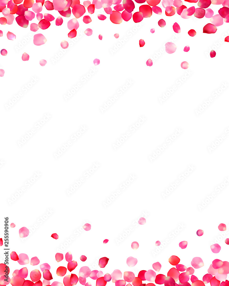 White background with pink rose petals