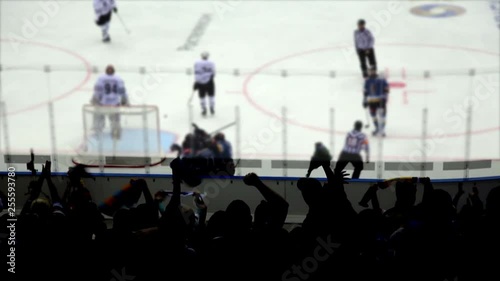 Goal in a Hockey Game.