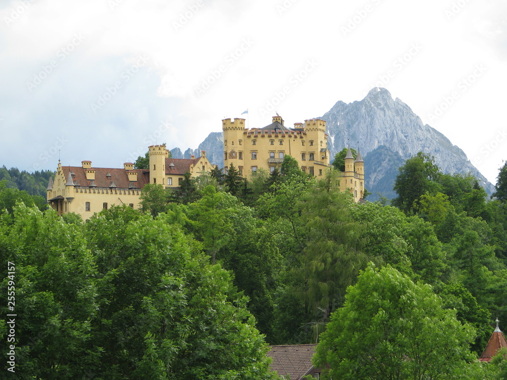 castle in Alps