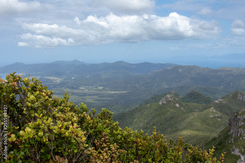 Great Barrier Island:  View of land with Clouds