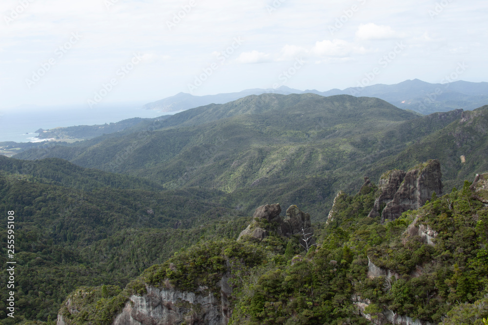 Great Barrier Island:  View of Mountain