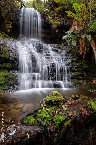 Waterfall in the woods of Tasmania, Australia