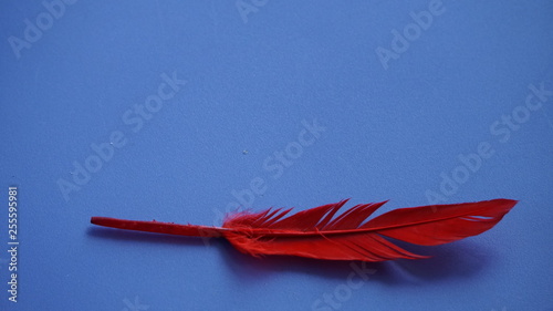 Fototapeta Naklejka Na Ścianę i Meble -  abstrakcja