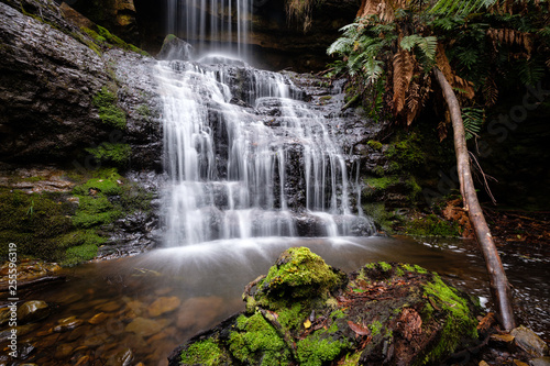 Fototapeta Naklejka Na Ścianę i Meble -  Wasserfall im Tasmanischen Wald, Australien