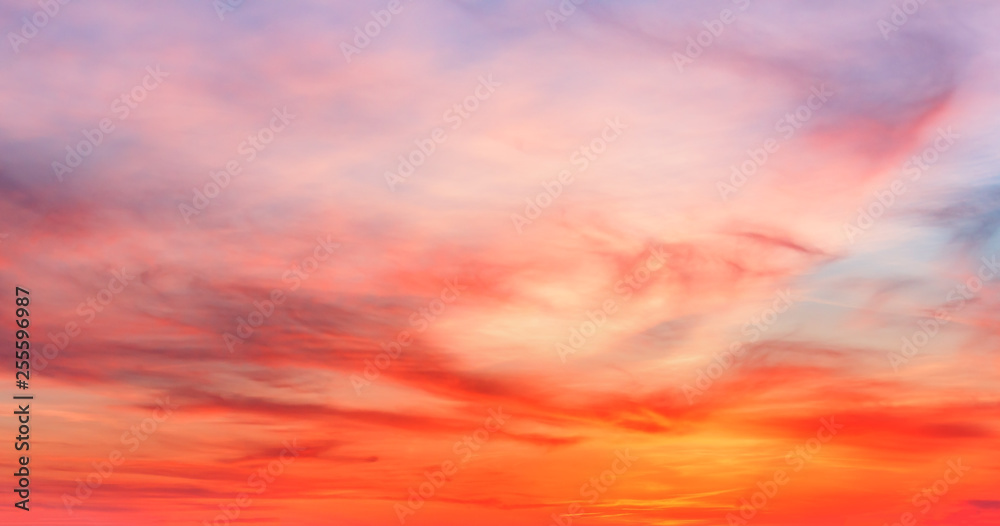 Colorful sunset purple sky