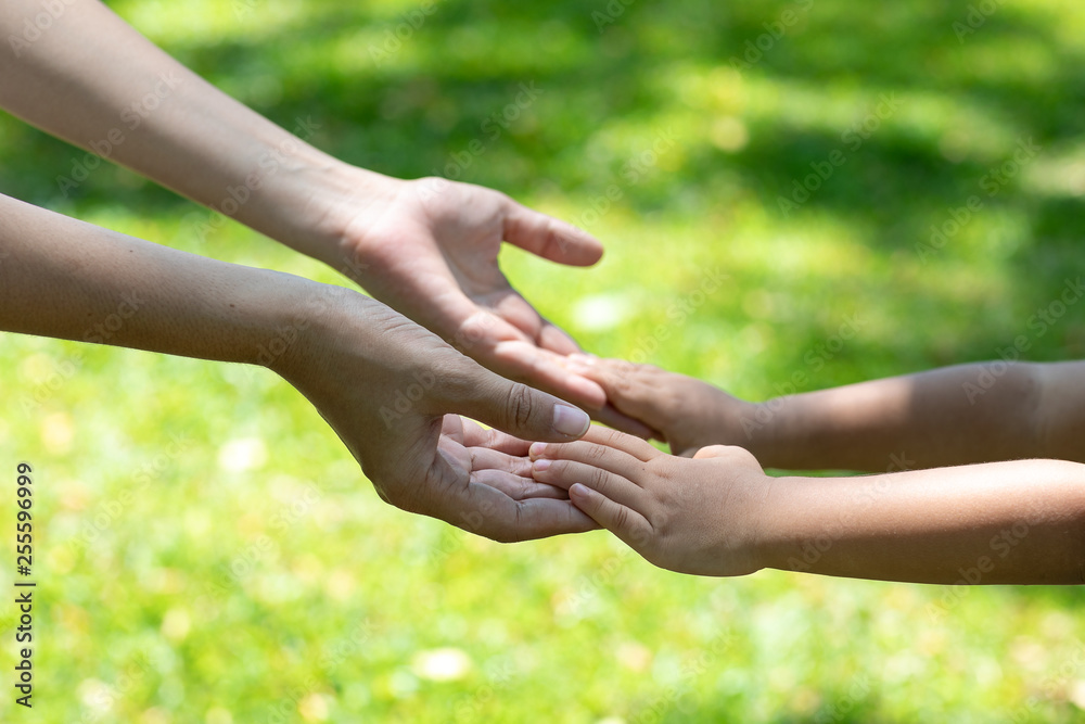 Mother's and child hold hands. Happy in the garden. Mother's love in the hand, on the palm Mother's and child hold hands. Happy in the garden. Mother's love in the hand, on the palm