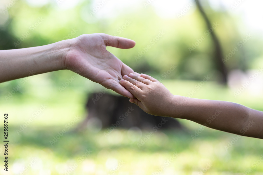 Mother's and child hold hands. Happy in the garden. Mother's love in the hand, on the palm Mother's and child hold hands. Happy in the garden. Mother's love in the hand, on the palm