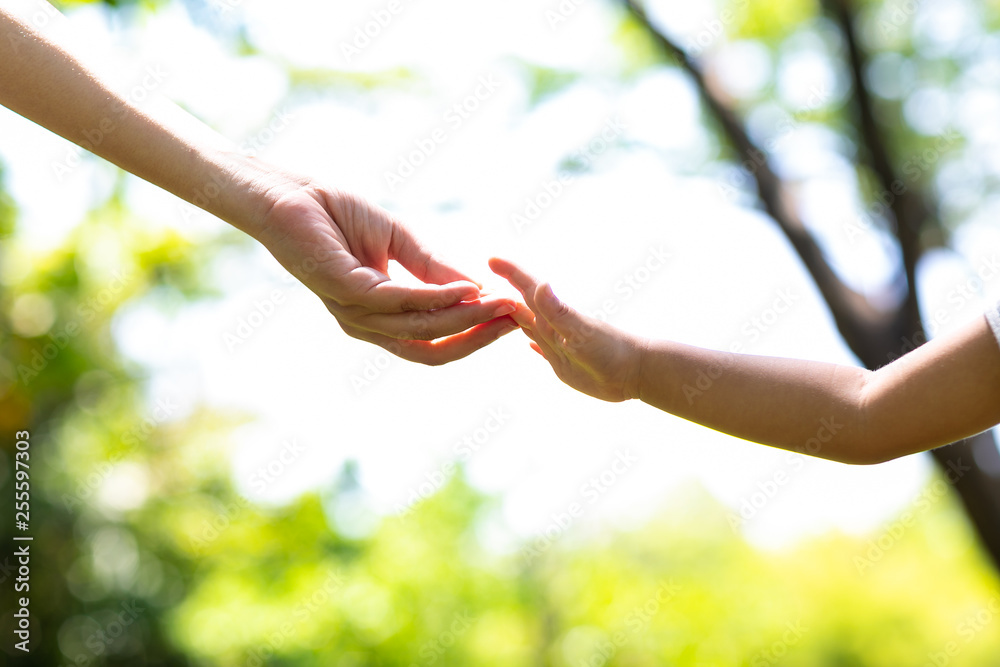 Mother's and child hold hands. Happy in the garden. Mother's love in the hand, on the palm Mother's and child hold hands. Happy in the garden. Mother's love in the hand, on the palm