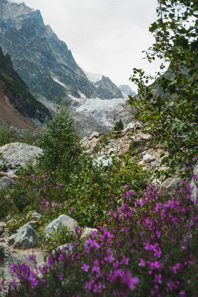 amazing view of mountains and pink wildflowers growing near stream