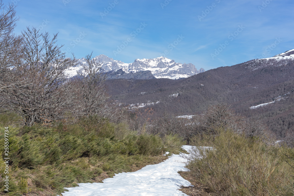 Fototapeta Photograph of the top of the valley full of snow with the snowy mountains in the background in the area of Picos de Europa de Leon, Spain.