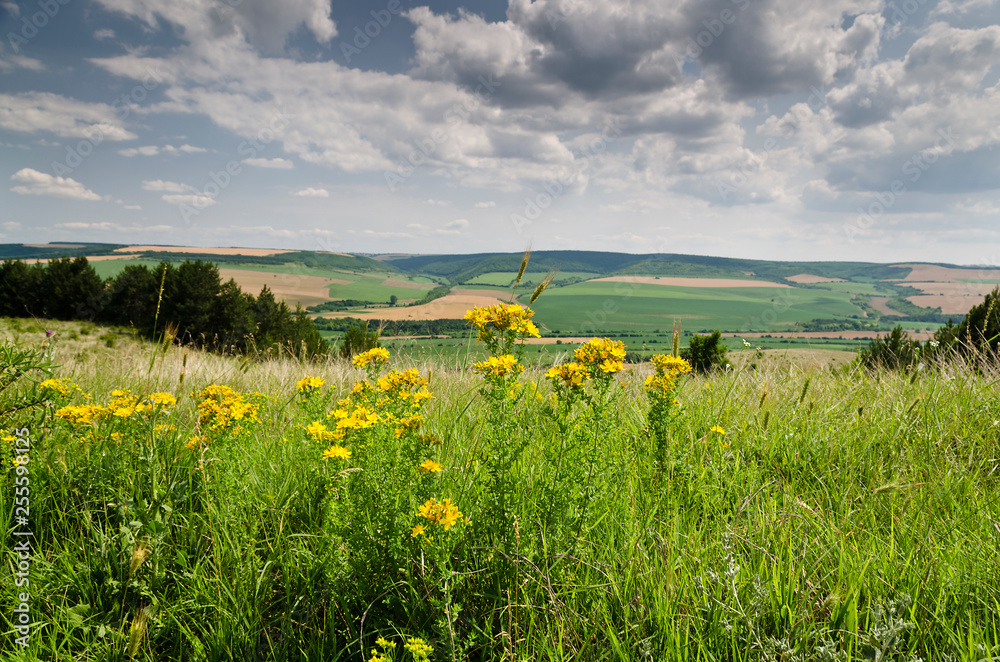 Green fields - Beautiful rural landscape in northern Bulgaria