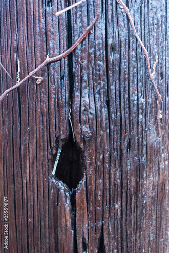 hole in a pole