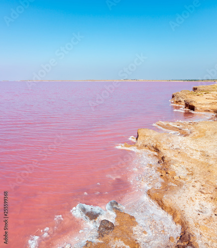 Pink salty Syvash Lake, Ukraine photo
