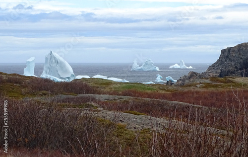 Große Eisberge in der Eisbergallee vor Neufundland