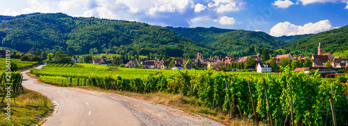 Alsace - scenic region of France - famous 