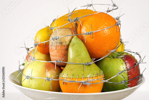 GMO foods. GMO concept genetically altered or modified food. Hybrids of fruits and vegetables