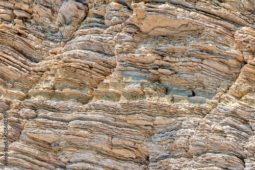 Pigeons on the rocks