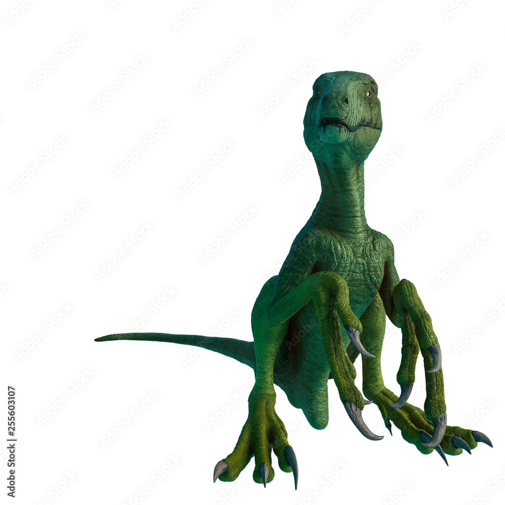 Fototapeta premium dakotaraptor sitting on white background
