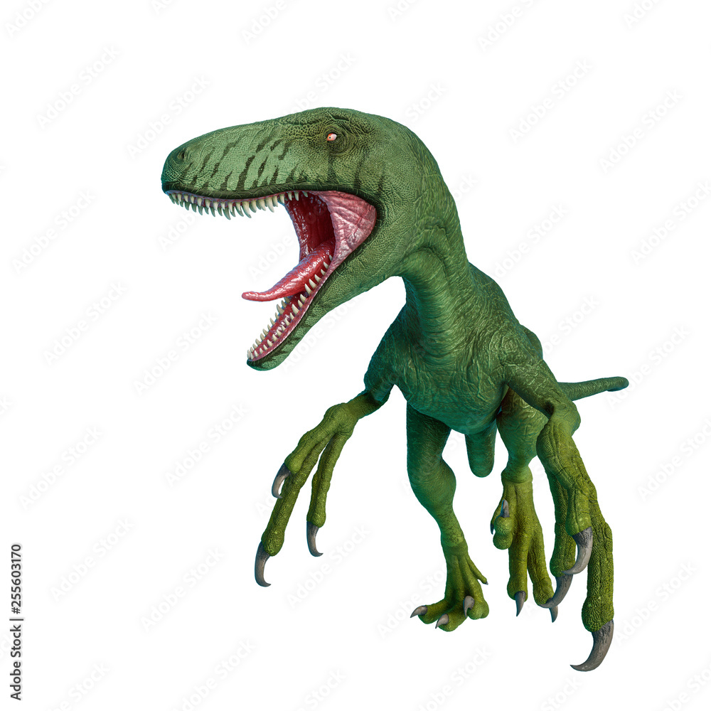 Obraz premium dakotaraptor being aggressive on white background