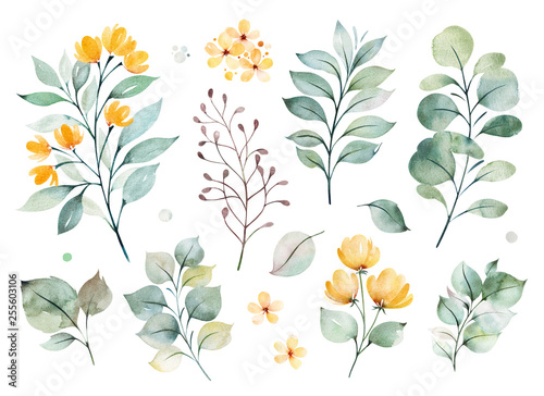 Watercolor green collection.Texture with greens,branch,leaves,yellow flowers,foliage.Perfect for wedding,invitations,greeting cards,quotes,patterns,bouquets,logos,Birthday cards,your unique creation.