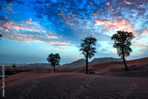 Beautiful View of Desert Sunrise in Sharjah