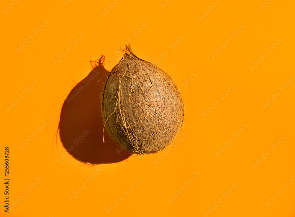 Single brown coconut on solid orange mustard ochre background. Hard light  harsh shadows. Warm complementary colors palette. Creative food poster.  Summer beach vacation fun. Healthy oil skin body care Stock Photo |