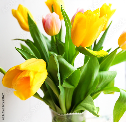 spring fresh bouquet of colorful beautiful yellow tulips