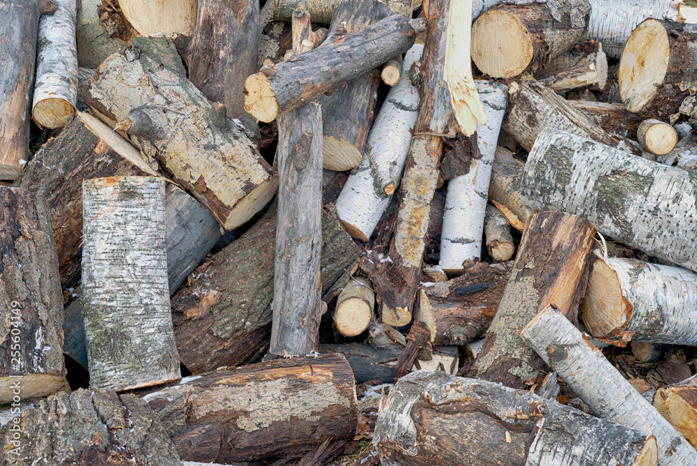 Pile of Aged Birch Firewood Logs Pile of Aged Birch Firewood Logs