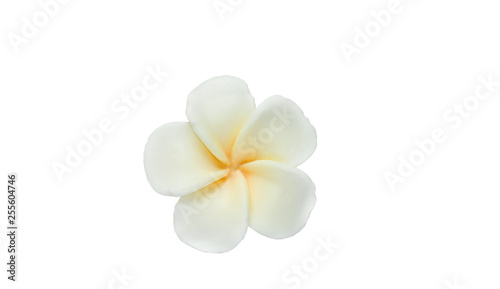 Isolated hand made soap in the shape of flower on white background.