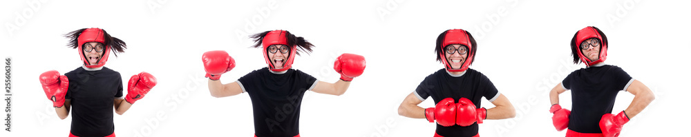Funny boxer isolated on the white Funny boxer isolated on the white