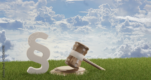 paragraphs symbols gavel bo...