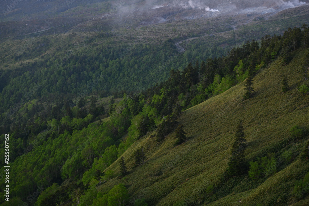 Obraz premium 早朝の群馬県芳ヶ平