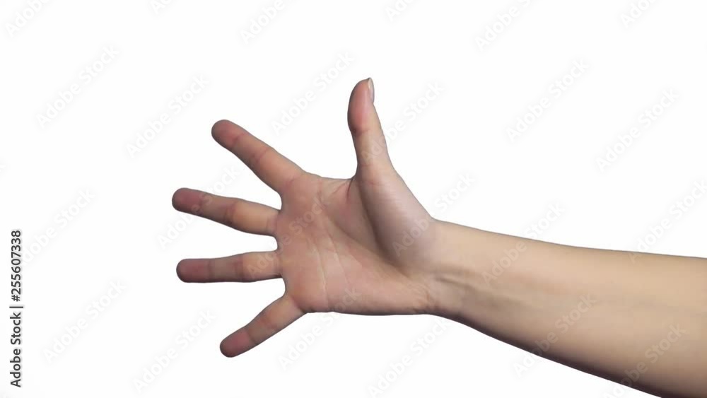 Closeup of isolated on white adult female hand counting from 0 to 5. Woman shows fist fist, then one, two, three, four, five fingers. Manicured nails painted with beautiful pink polish. Math concept Closeup of isolated on white adult female hand counting from 0 to 5. Woman shows fist fist, then one, two, three, four, five fingers. Manicured nails painted with beautiful pink polish. Math concept