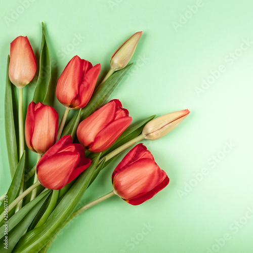 Canvas Print Beautiful red  tulips flowers for holiday.