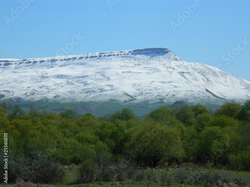 The struggle of two seasons: winter against spring. Suddenly it snowed in the spring.