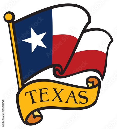 Flag of Texas vector illustration