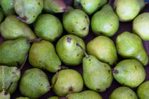 A few fresh green-tinted pears were just picked from the tree and put in a cardboard box. Pears are for sale or for canning.