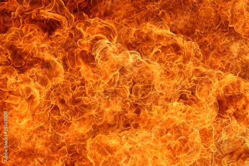 Fire flame background texture abstract.