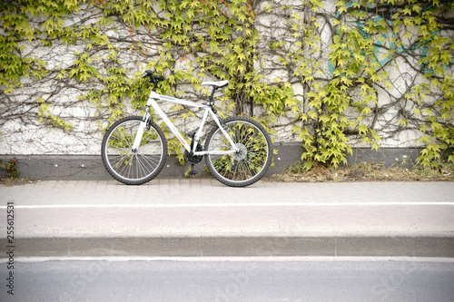 Ein Mountainbike während einer Fahrradpause steht angelehnt an einer mit Kletterwein bewachsenen Mauer. .